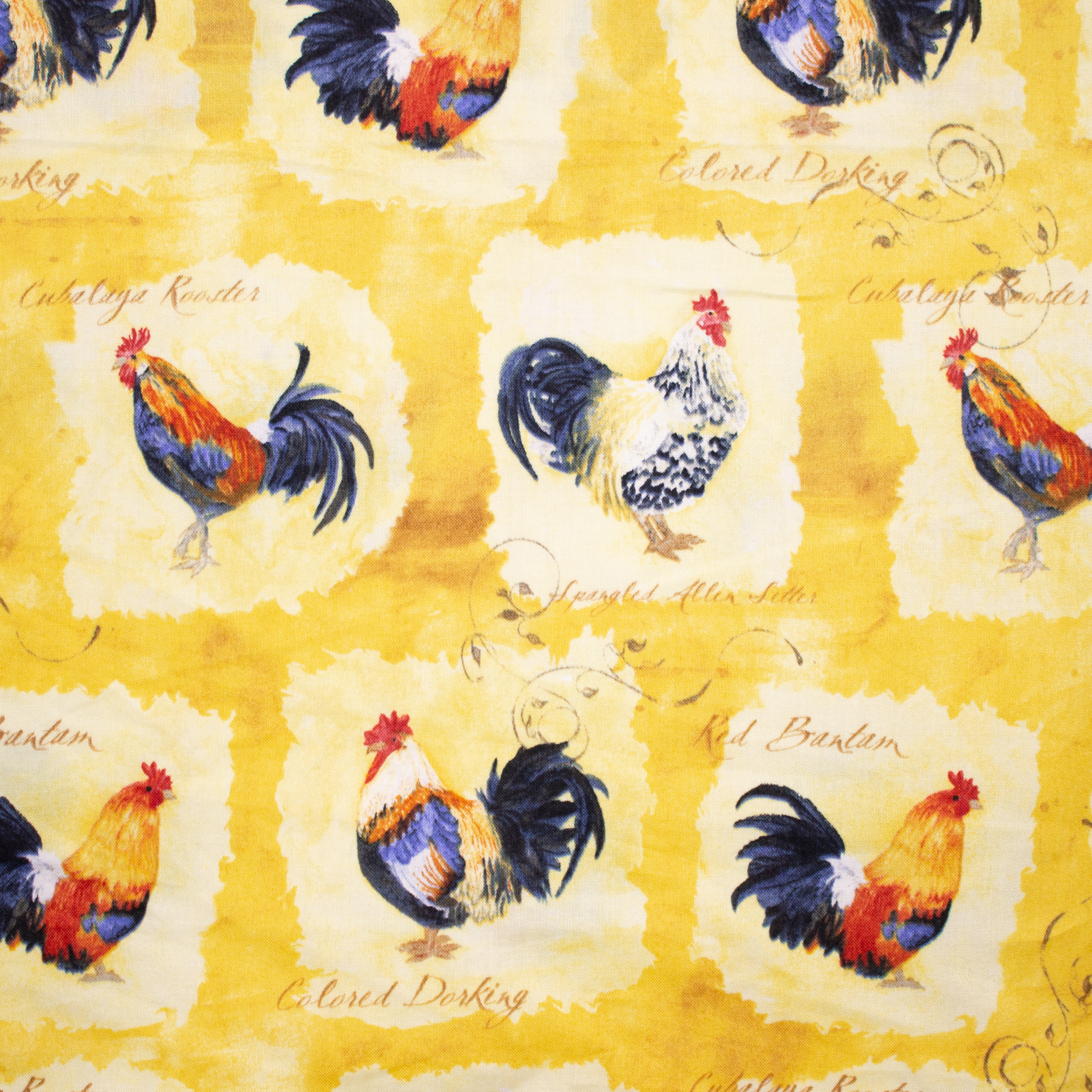 Gele Katoen met Kippen