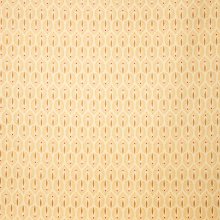 Beige Katoen met Print