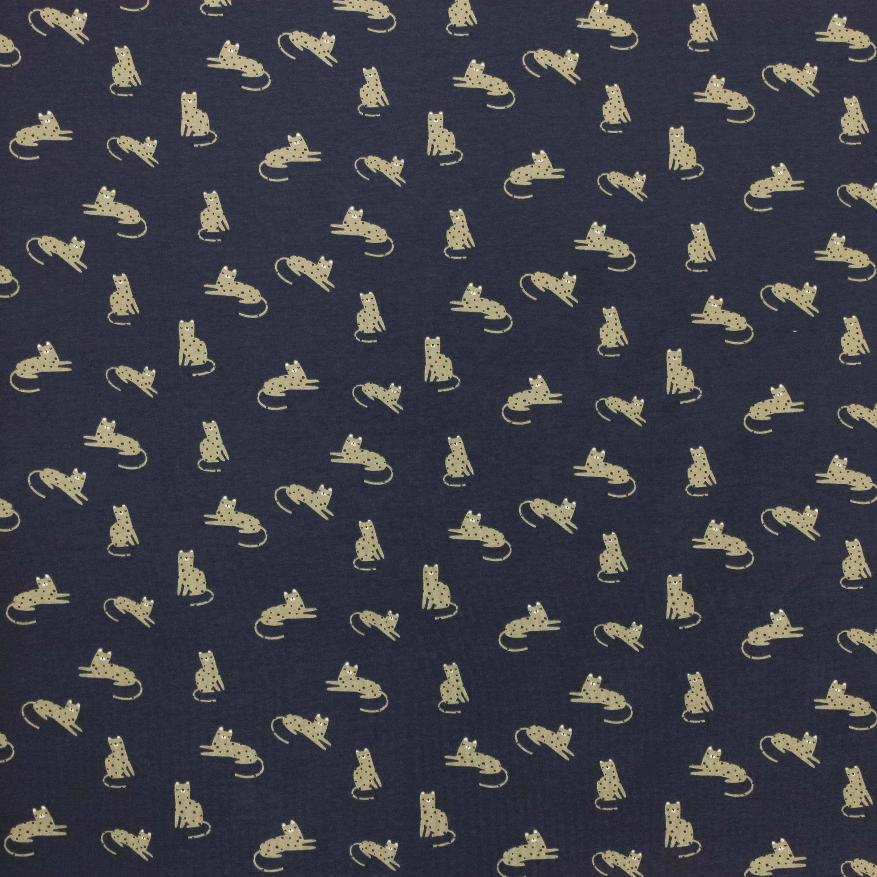 Donker Blauwe Tricot met Katten