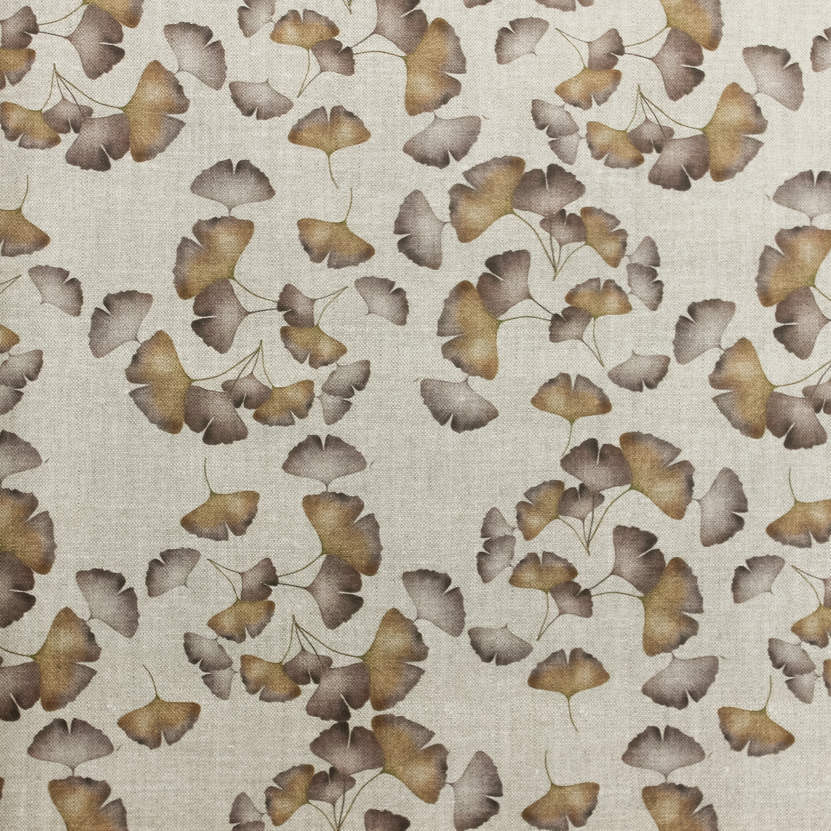 Bruine Lichte Canvas met Ginkgo Biloba blaadjes