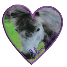 Hartvormige applicatie met paard / pony - 9 x 9 cm