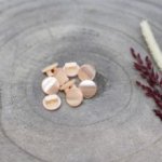 Zalmroze glanzende knoopjes met één oogje 10 mm  - Swing Buttons Powder van Atelier Brunette