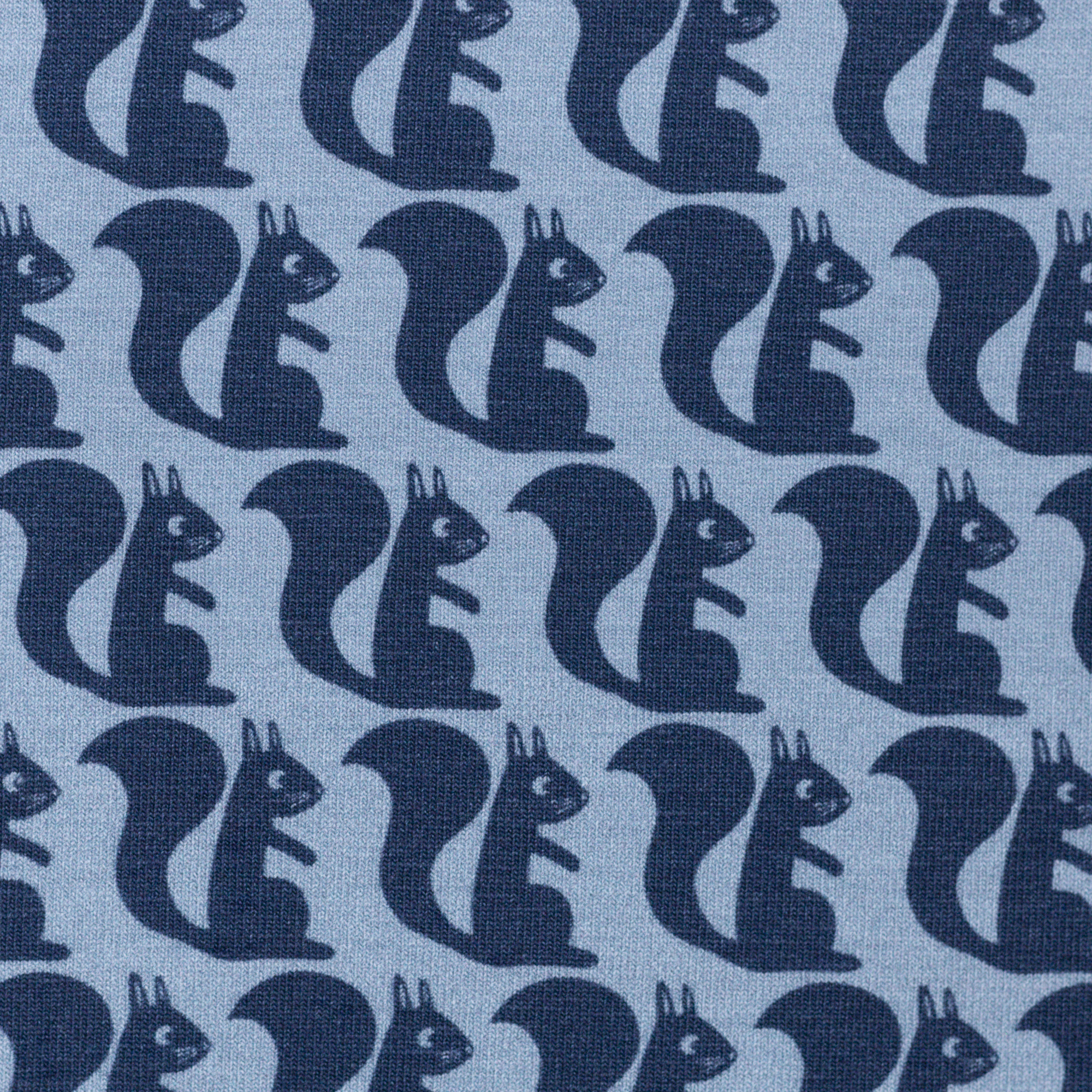 Blauwe tricot met eekhoorns
