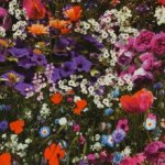 Viscose met realistische bloemen