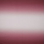 Softshell roze - Poppy
