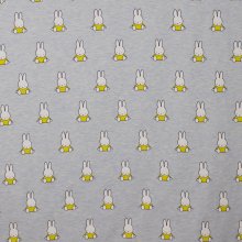 Lichtblauwe tricot van Nijntje