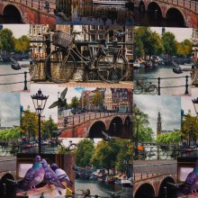 French terry met digitale fotoprint