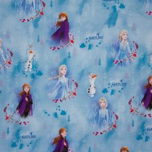 Tricot Disney Frozen 2