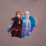 Paneel Disney Frozen 2 - 65 cm