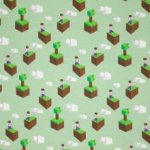 Munt tricot Minecraft