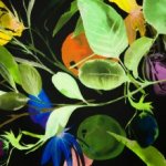 Zwarte polyester met planten