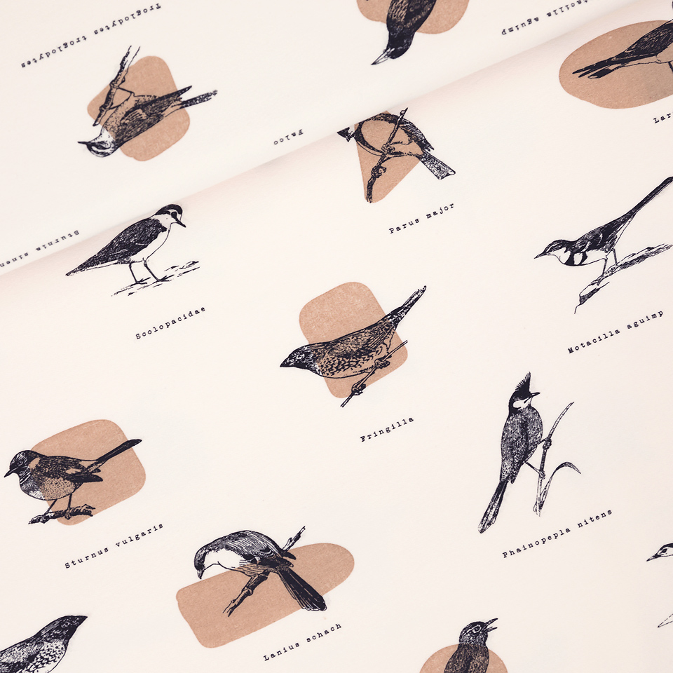 French Terry zacht roze met vogels 'ornithology'  - See You At Six -