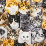 Katoen multicolor met katten