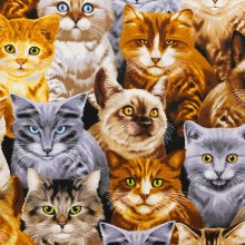 Katoen multicolor met grote katten