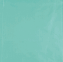 Polyripstop mintgroen- Katia Fabrics