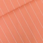 Canvas 'Verticals Melon Punch' - See You At Six