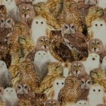 Poplin katoen met uilen
