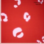 Ecovero viscose rood met lila motieven - Fibre Mood