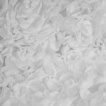 Broderie 3D wit - Lorré