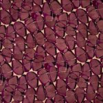 Zijde viscose mengeling roos met abstract motief - Alta Moda
