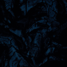 French terry zwart blauwe print