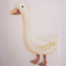 Applicatie eend - Qjutie & the Qjutest