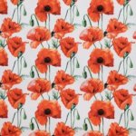 Canvas wit met klaprozen