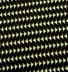 Polyester stretch zwart groen patroon
