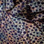 Viscose jacquard metallic glinstering met zwarte bollen  - Lorré