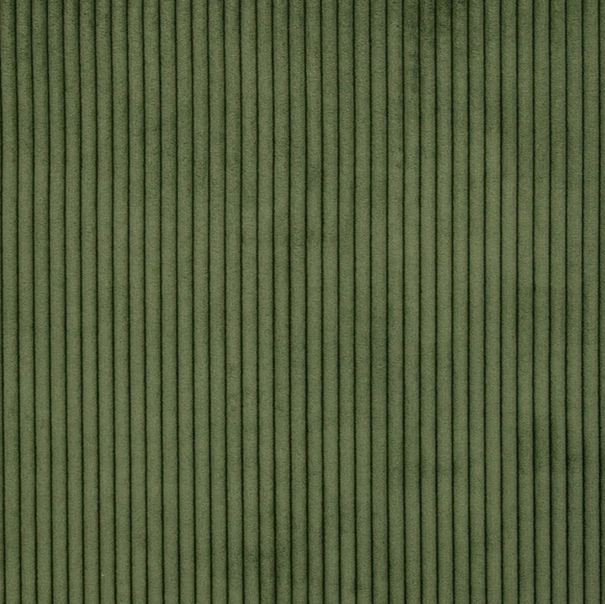 Harde fluweel kakigroen