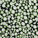 Polyester licht gestructureerd met groen patroon