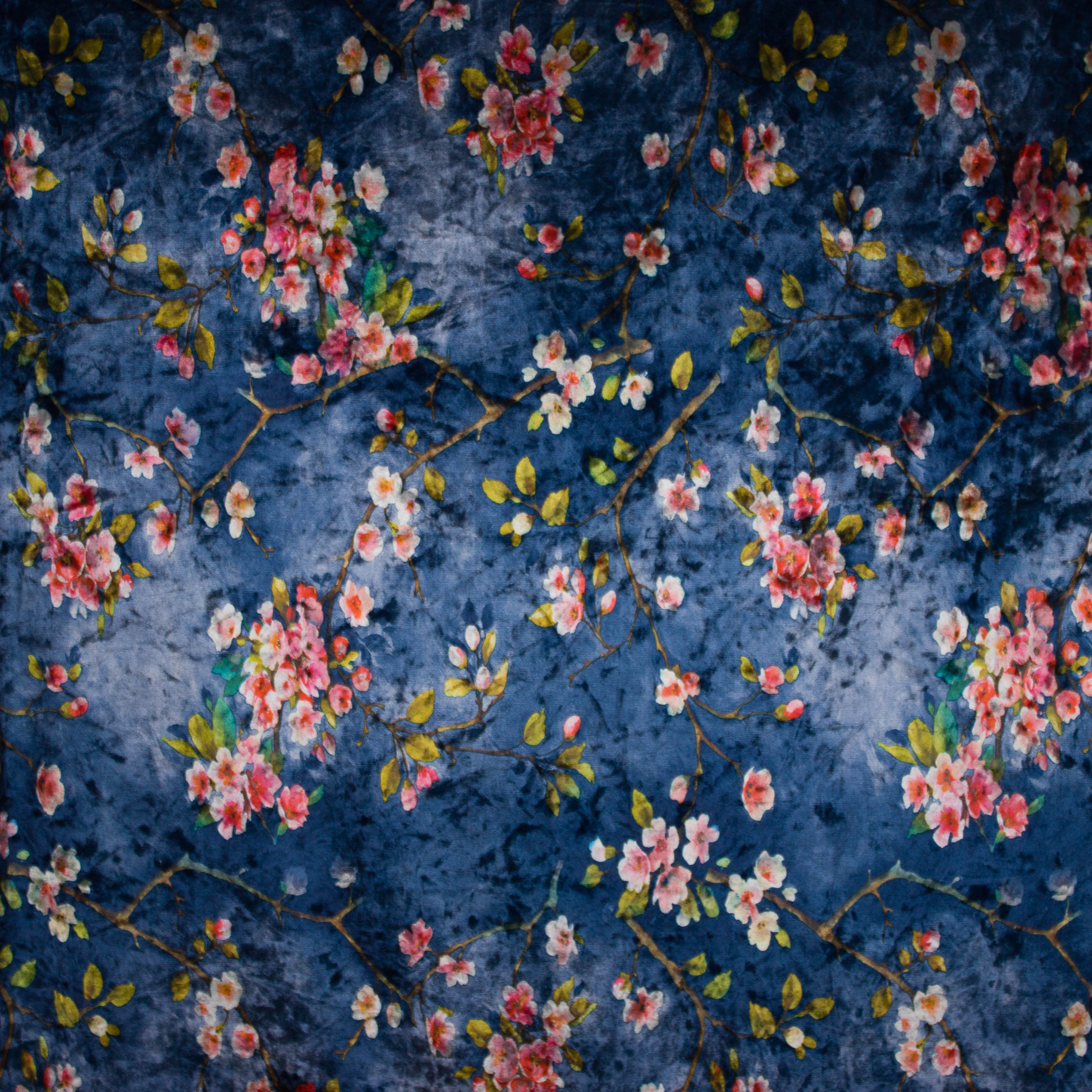 Soepele stretchfluweel met bloemenprint