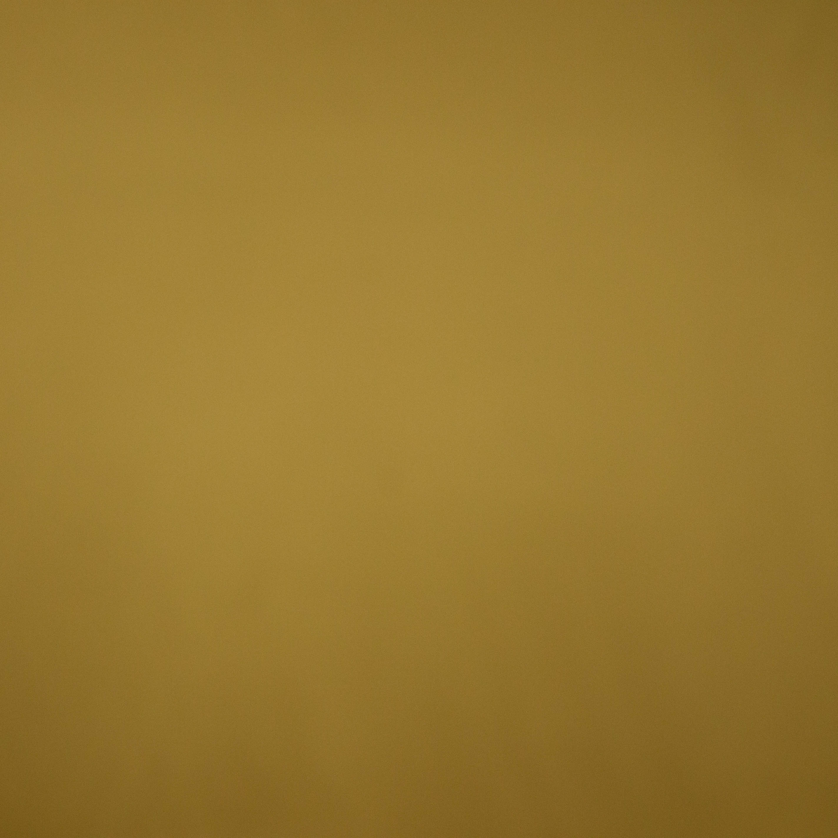 Goudkleurige satijn van La Maison Victor