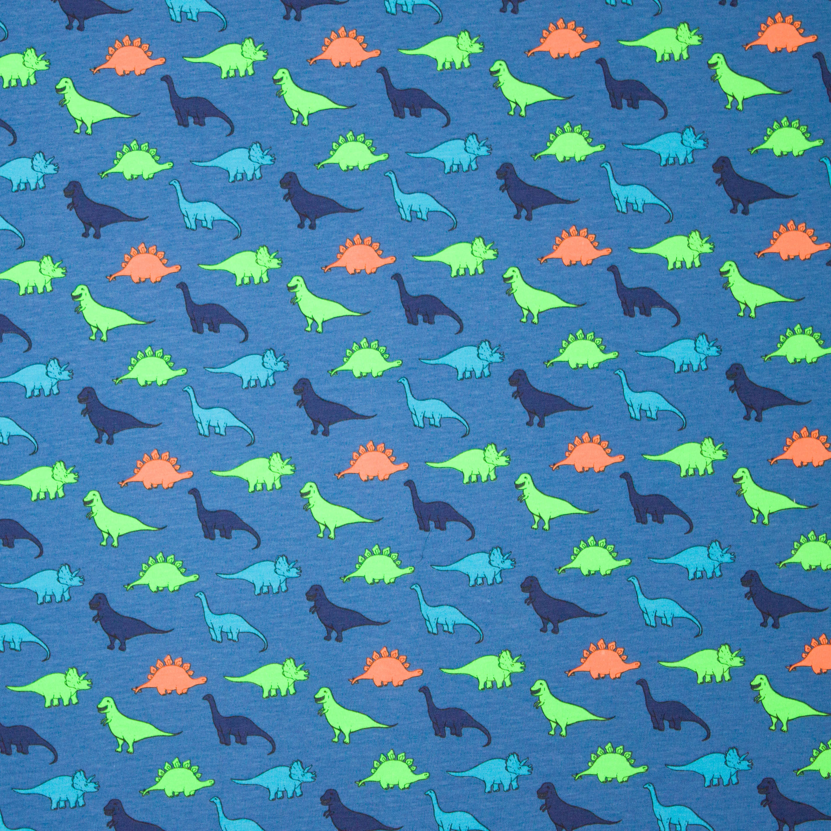 Blauwe tricot met dino motief in neon