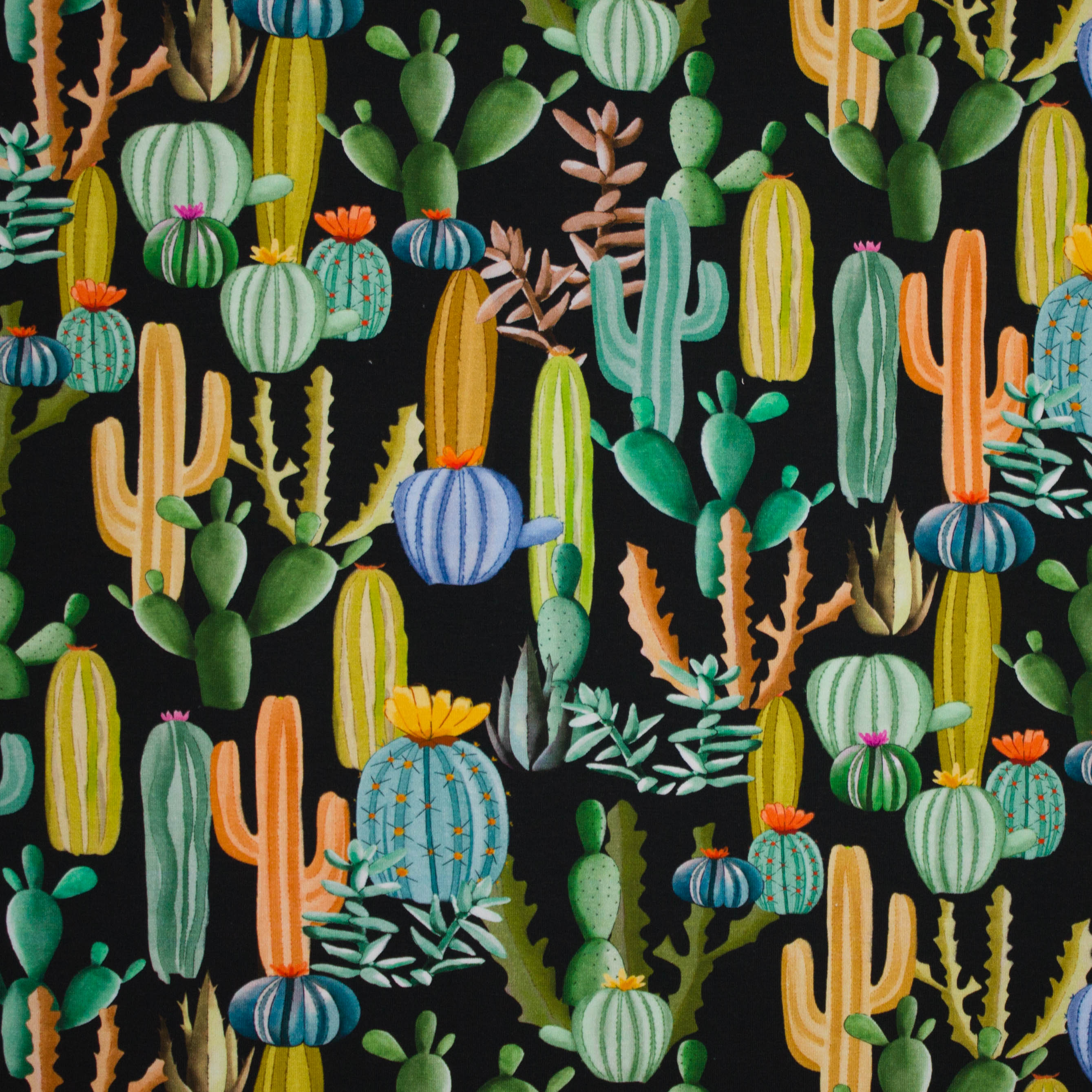 Zwarte french terry met cactussen