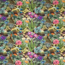 Tricot cactus fotoprint