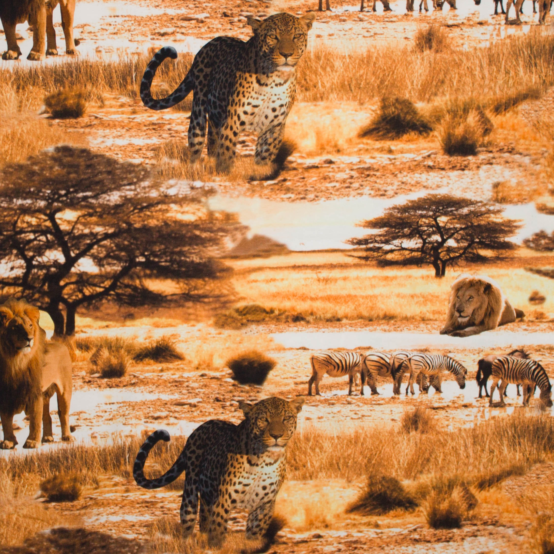 Tricot savanne fotoprint