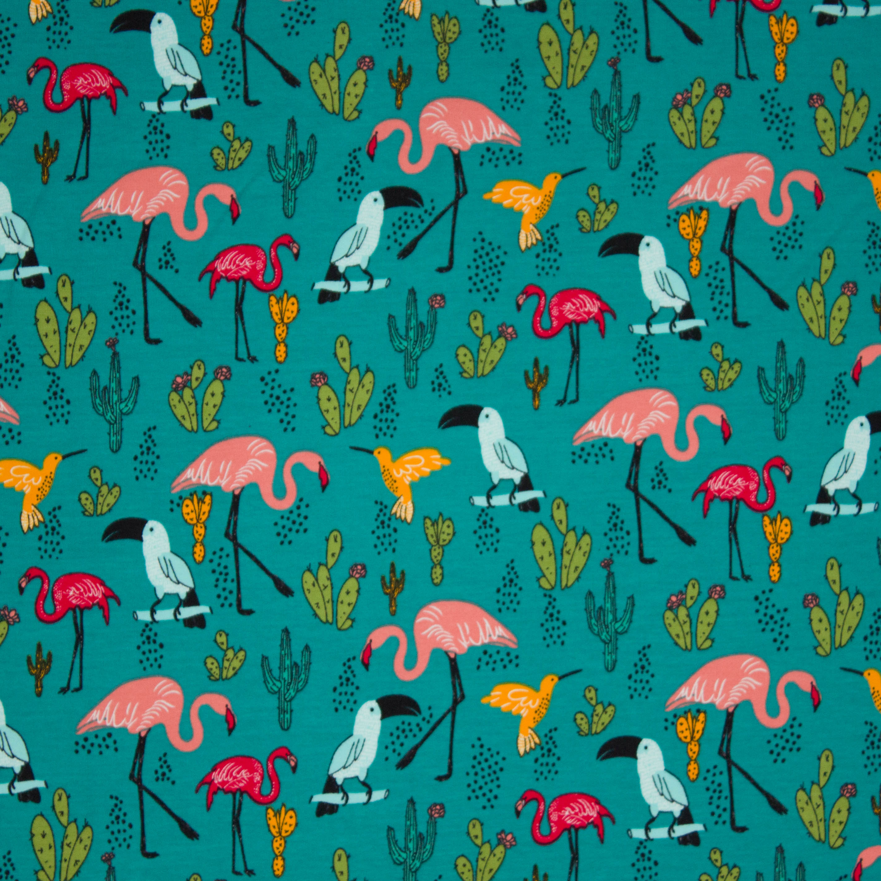 Petrol french terry met vogels en cactussen