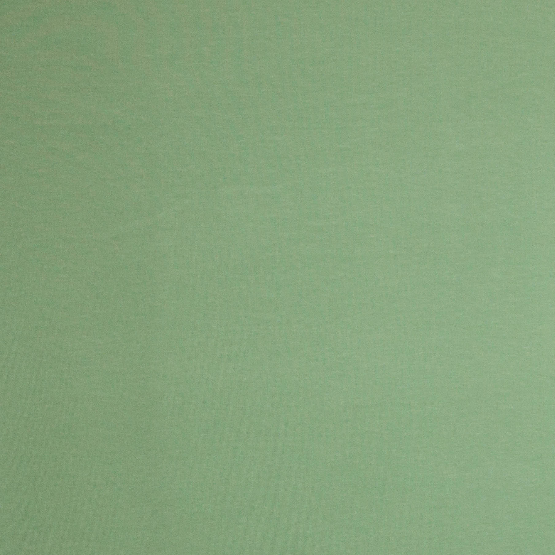 French Terry licht groen uni