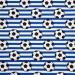 Wit-Blauw gestreept katoen voetbalprint