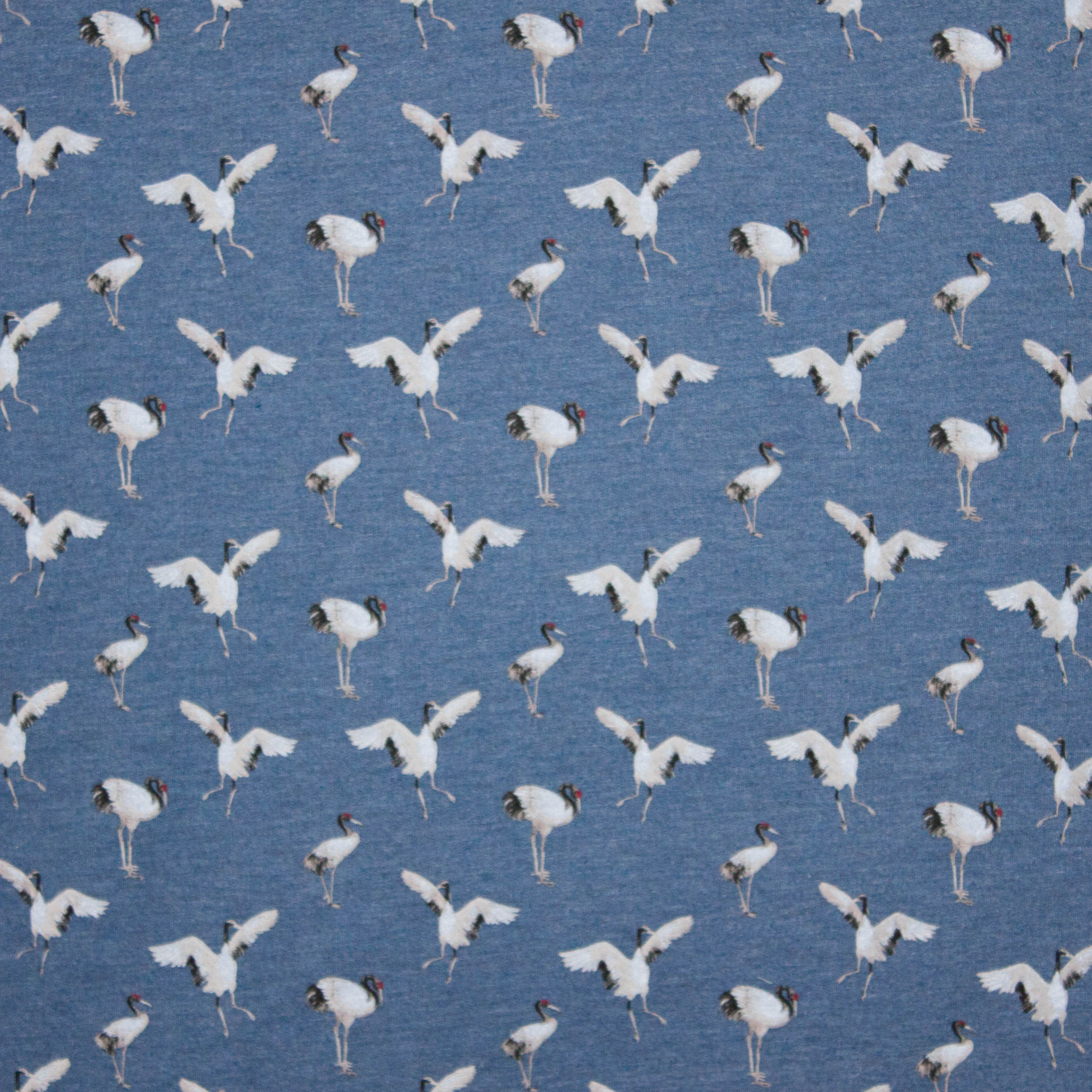 Jeansblauwe sweaterstof met vogelmotief