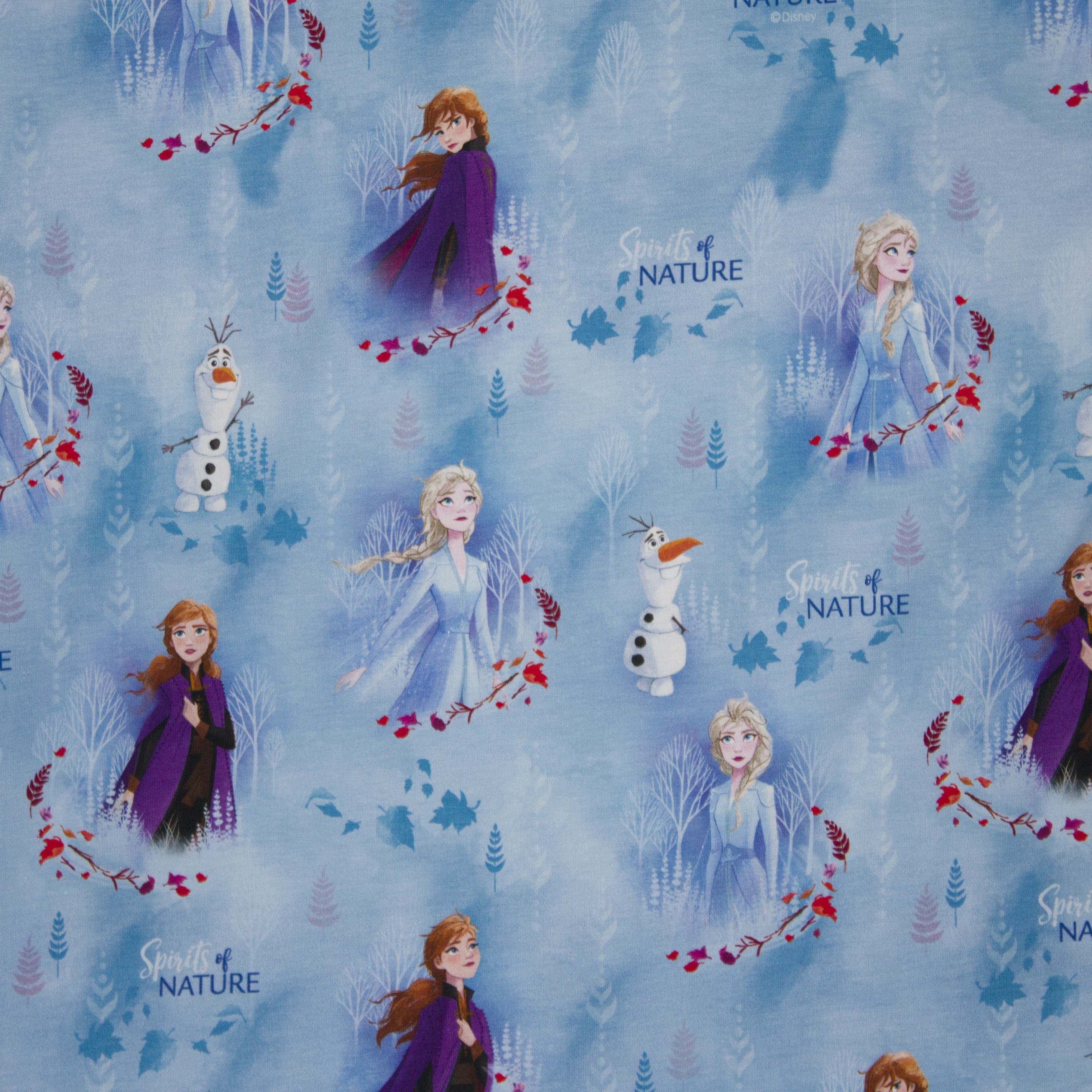 Tricot Disney Frozen 2