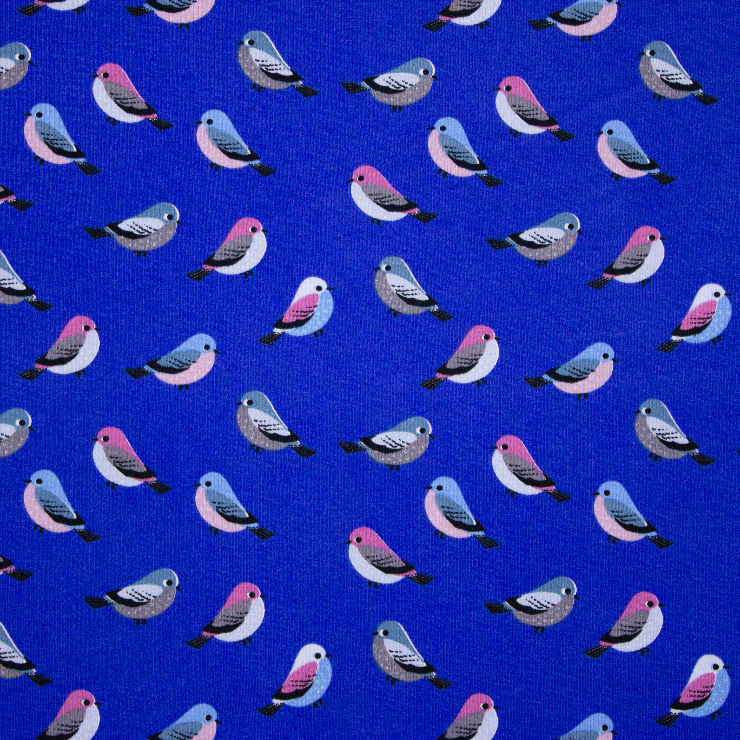 Blauwe katoentricot met vogeltjes