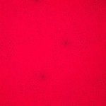 Rode tricot met zwarte stipjes