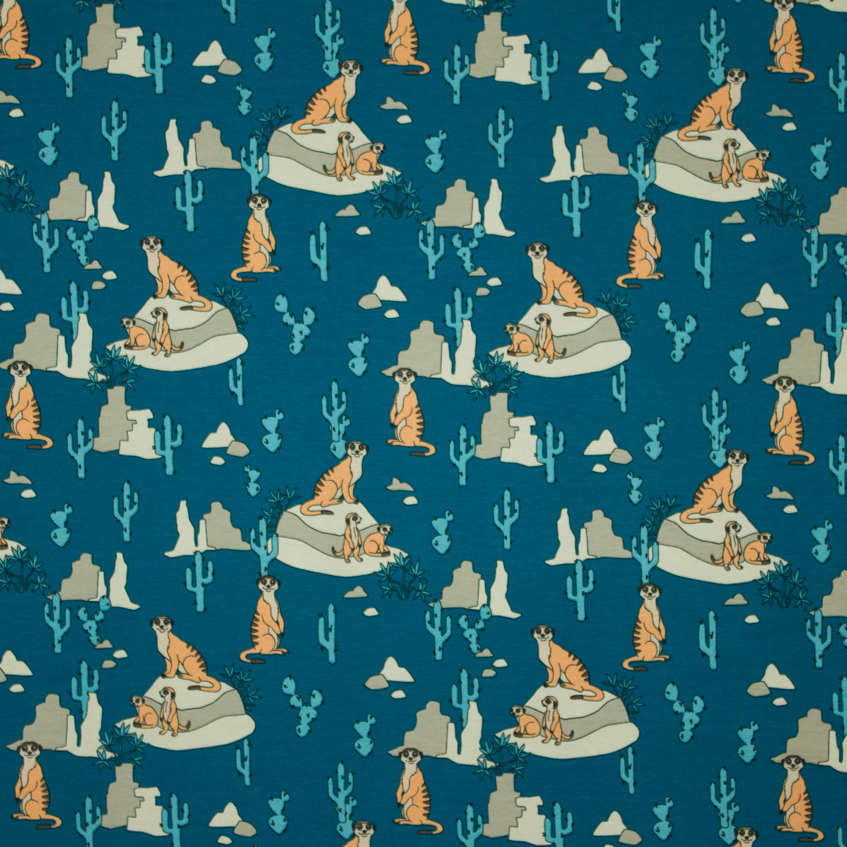 Petrol tricot met motief van stokstaartjes, rotsen en cactussen