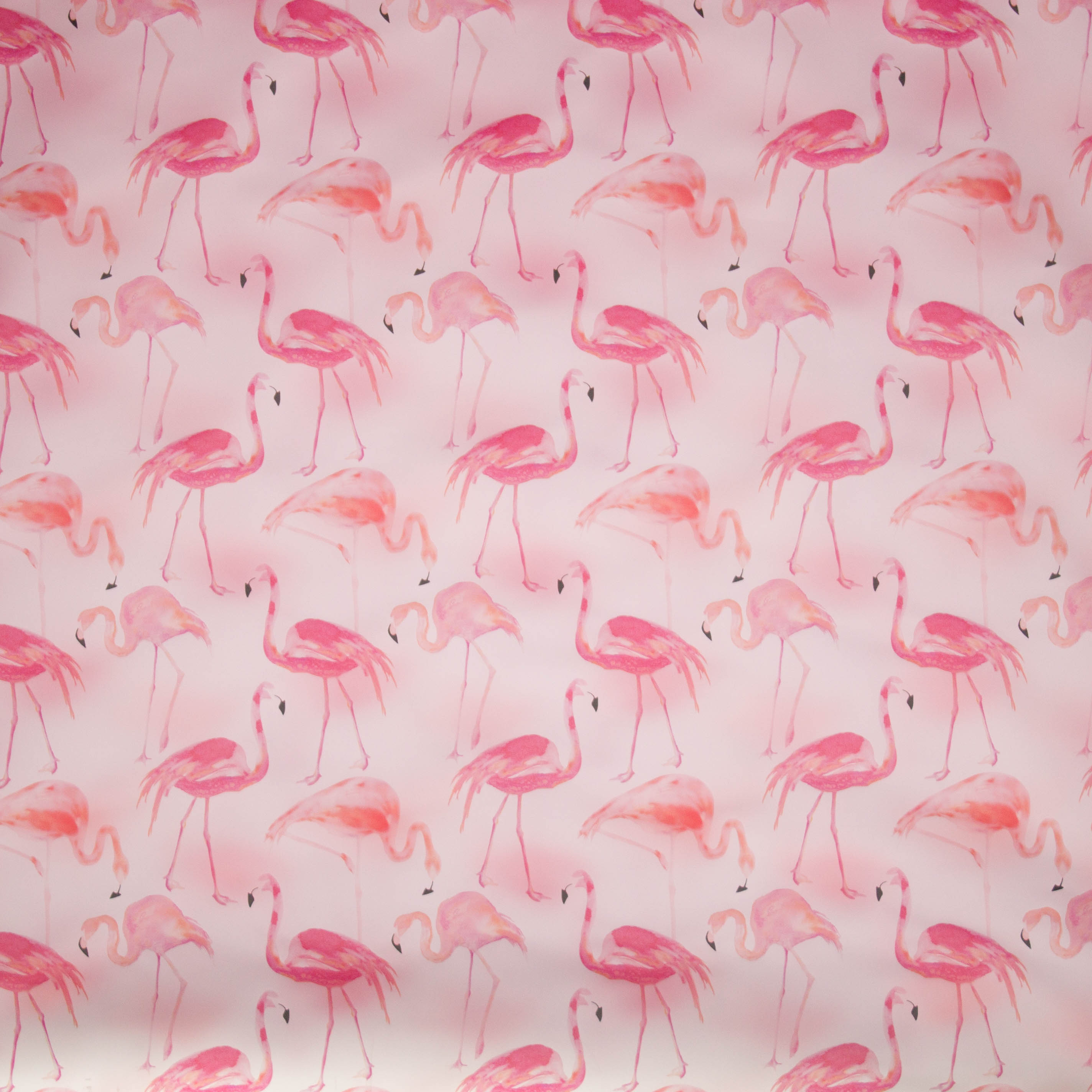 Doorschijnende regenjas stof met flamingo's