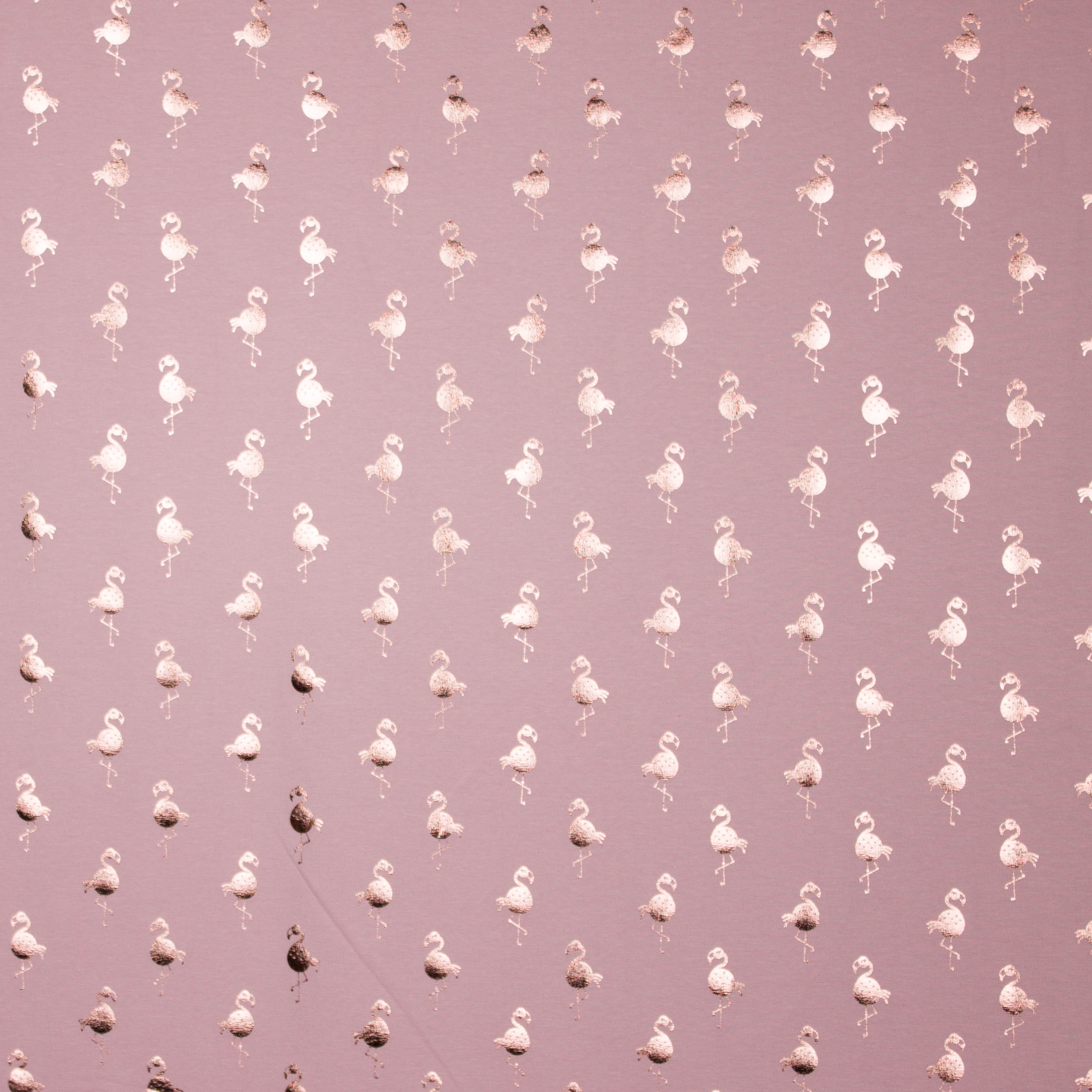 Roze tricot met flamingo motief in roze foil