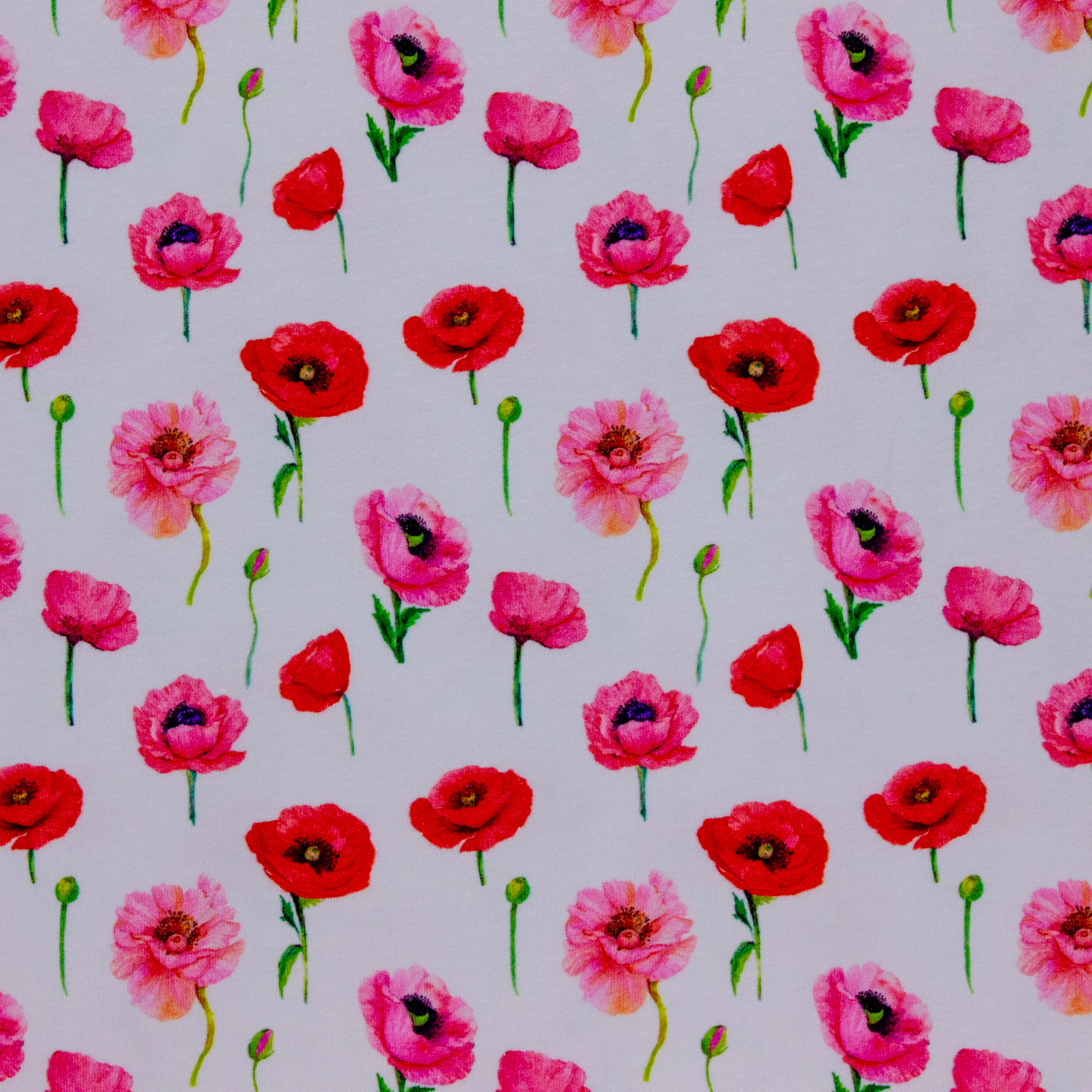 Witte katoen tricot met rode en roze bloemen - Stenzo