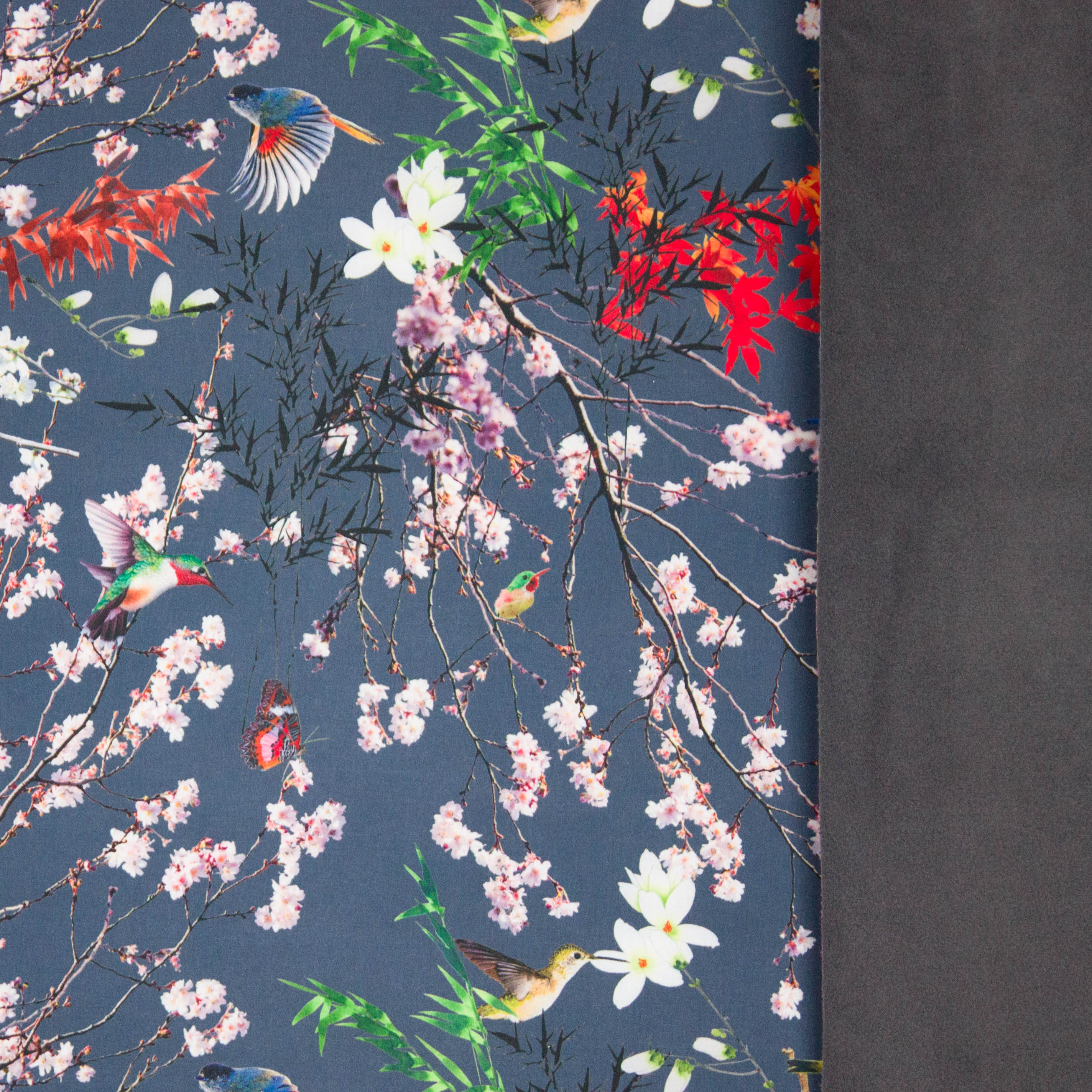 Grijze softshell met vogels en bloesems, grijze binnenkant