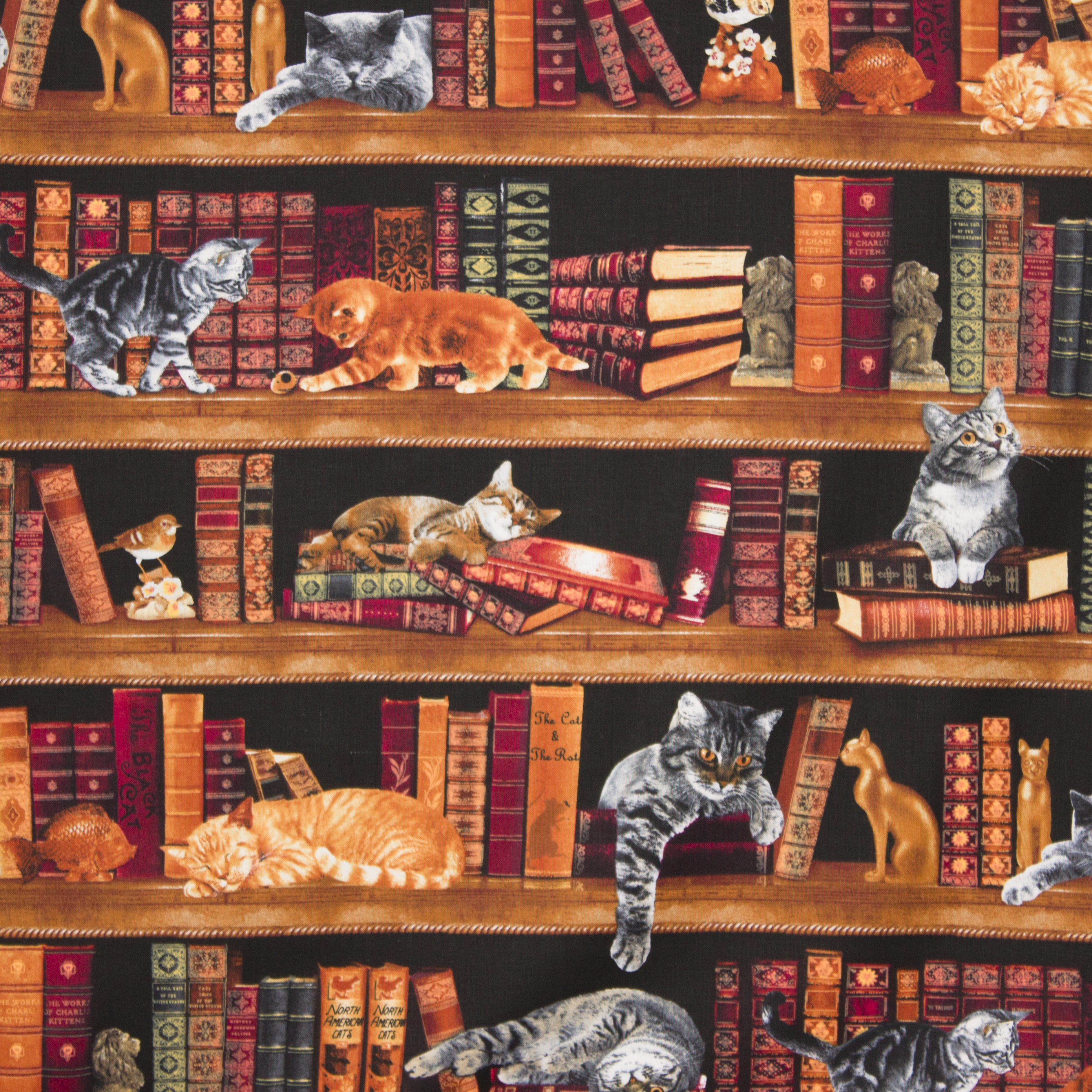 Boeken en katten katoen